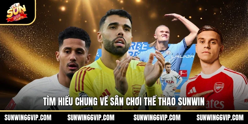 Tìm hiểu chung về sân chơi thể thao SUNWIN